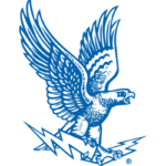 air force falcons 1963 1994