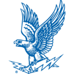 Air Force Falcons Alternate Logo 1963 - 1994