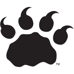 bc-lions-alternate-logo-2005-present