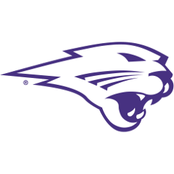 Northern Iowa Panthers Alternate Logo | Sports Logo History