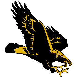 Southern Miss Golden Eagles Alternate Logo 1990 - 2002