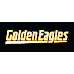 southern-miss-golden-eagles-wordmark-logo-2003-present-10