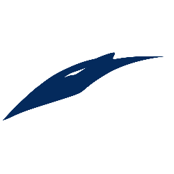 uc-irvine-anteaters-alternate-logo-2009-2013-2