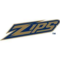 Akron Zips Wordmark Logo 2002 - 2013