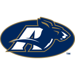 Akron Zips Alternate Logo 2002 - 2008