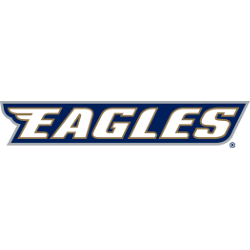 Georgia Southern Eagles Wordmark Logo 1999 - 2016