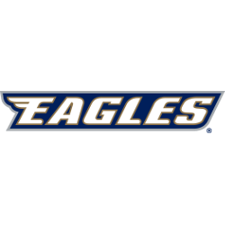 Georgia Southern Eagles Wordmark Logo | Sports Logo History