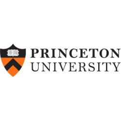 Princeton Tigers Wordmark Logo 1984 - Present