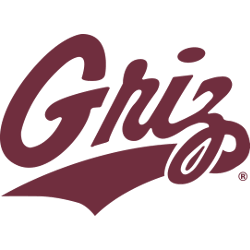 montana-grizzlies-wordmark-logo-1996-present