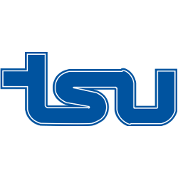 Tennessee State Tigers Wordmark Logo 2001 - Present