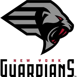 New York Guardians Primary Logo 2020 - Present
