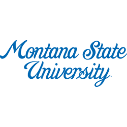 Montana State Bobcats Wordmark Logo 1965 - 1995