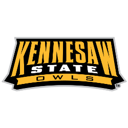 Kennesaw State Owls Wordmark Logo 2012 - Present