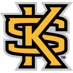 kennesaw-state-owls-primary-logo