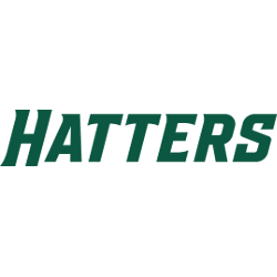 Stetson Hatters Wordmark Logo 2018 - Present