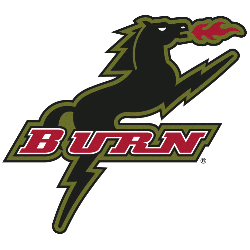 Dallas Burn Primary Logo 1996 - 2004