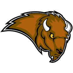 Lipscomb Bisons Alternate Logo 2002 - 2011