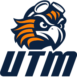 Tennessee-Martin Skyhawks Alternate Logo 2020 - Present