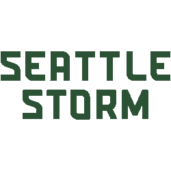 Seattle Storm Wordmark Logo 2021 - Present