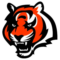 Cincinnati Bengals Alternate Logo 2004 - 2020