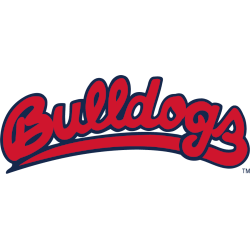 Fresno State Bulldogs Wordmark Logo 2020 - Present