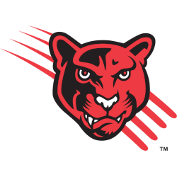 houston-cougars-alternate-logo-1996-2003