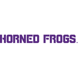 TCU Horned Frogs Wordmark Logo 2013 - Present
