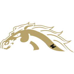 Western Michigan Broncos Alternate Logo 2013 - 2021