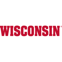 wisconsin-badgers-wordmark-logo-2017-present-2