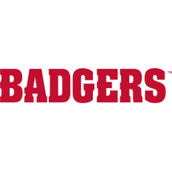 Wisconsin Badgers Wordmark Logo 2017 - Present