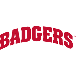 wisconsin-badgers-wordmark-logo-2017-present-8