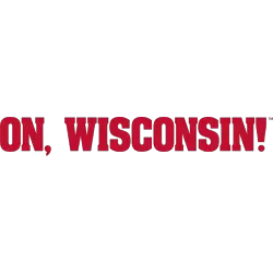 Wisconsin Badgers Wordmark Logo 2017 - Present