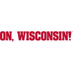 Wisconsin Badgers Wordmark Logo 2017 - Present