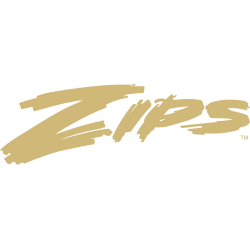 Akron Zips Wordmark Logo 1986 - 1995