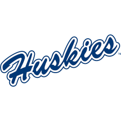 UConnHuskies Wordmark Logo 1981 - 2002