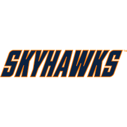 tennessee-martin-skyhawks-wordmark-logo-2007-present-3