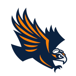 Tennessee-Martin Skyhawks Alternate Logo 2020 - Present
