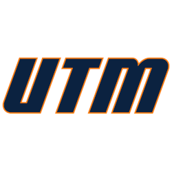 Tennessee-Martin Skyhawks Wordmark Logo 2020 - Present