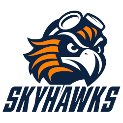 Tennessee-Martin Skyhawks Alternate Logo 2020 - Present
