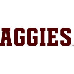 texas-am-aggies-wordmark-logo-2016-present-2