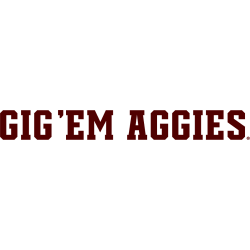 texas-am-aggies-wordmark-logo-2016-present