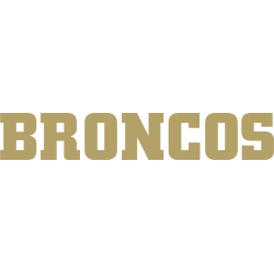 western-michigan-broncos-wordmark-logo-2016-2020-5