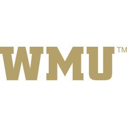 Western Michigan Broncos Wordmark Logo 2016 - 2020