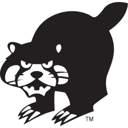 Cincinnati Bearcats Alternate Logo 1976 - 1983
