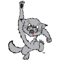 Cincinnati Bearcats Alternate Logo 1999 - 2005