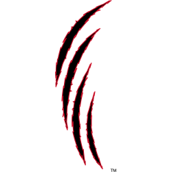 Cincinnati Bearcats Alternate Logo 2010 - 2015