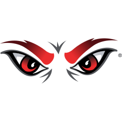 Cincinnati Bearcats Alternate Logo 2015 - Present