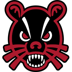 Cincinnati Bearcats Alternate Logo 2018 - Present