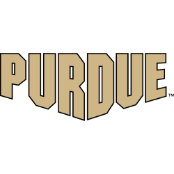 purdue-boilermakers-wordmark-logo-2020-present-3