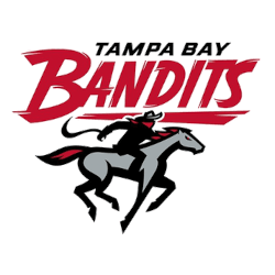 Tampa Bay Bandits Primary Logo 2022 - 2024